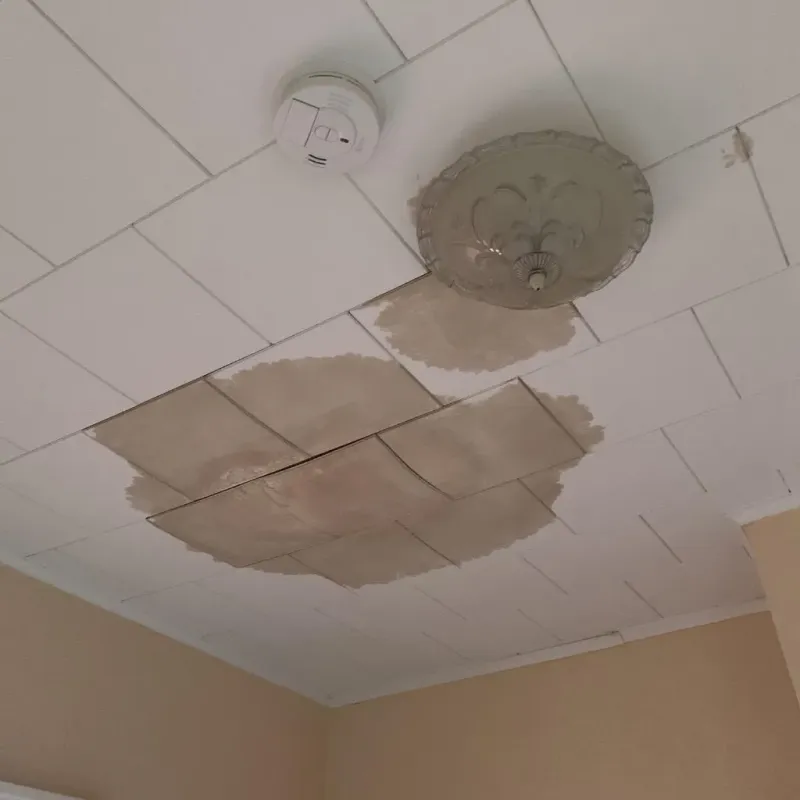 Ceiling Water Damage Repair in Blackwater, AZ