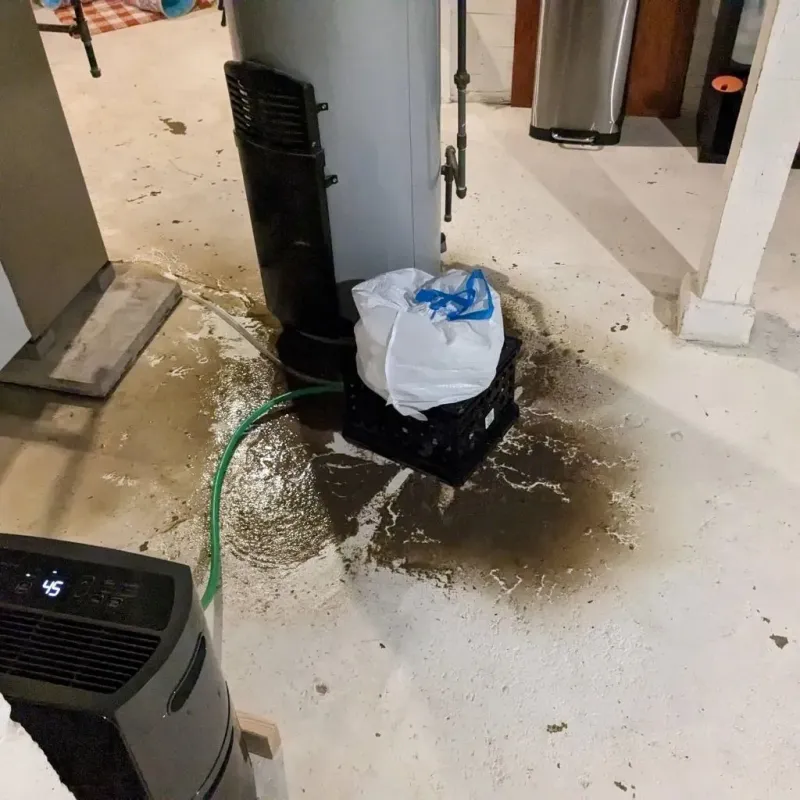 Sewage Backup Cleanup Service in Blackwater, AZ